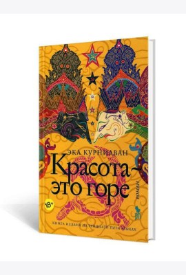 Красота - это горе: роман