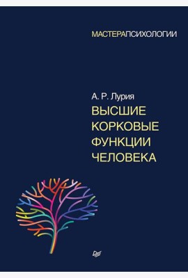 Высшие корковые функции человека