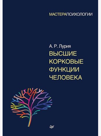 Высшие корковые функции человека