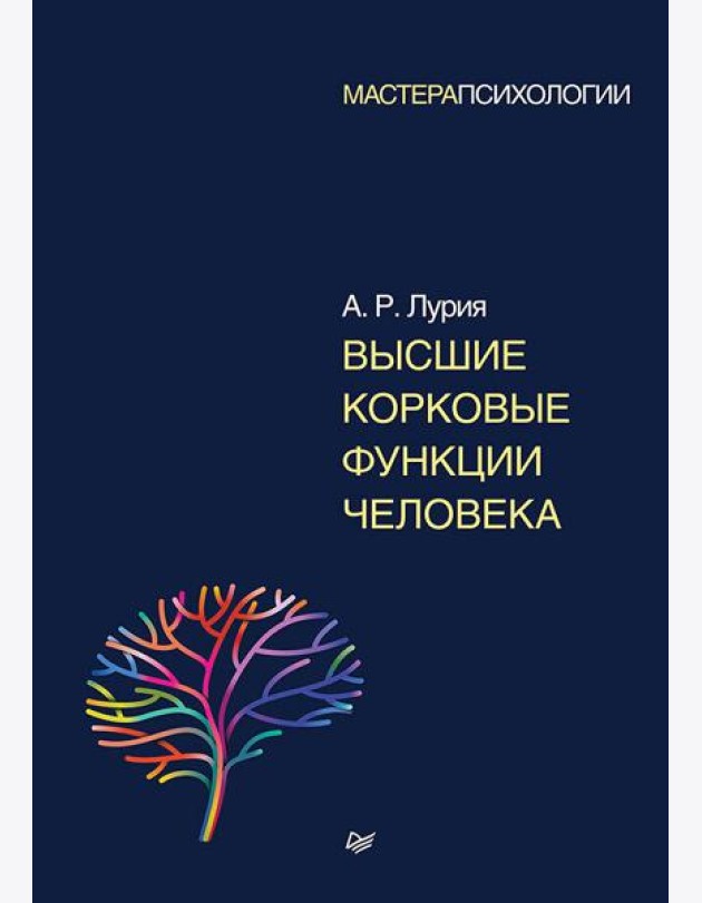 Высшие корковые функции человека