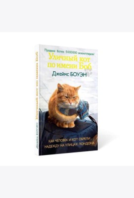 Уличный кот по имени Боб. Как человек и кот обрели надежду на улицах Лондона
