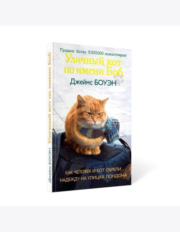 Уличный кот по имени Боб. Как человек и кот обрели надежду на улицах Лондона
