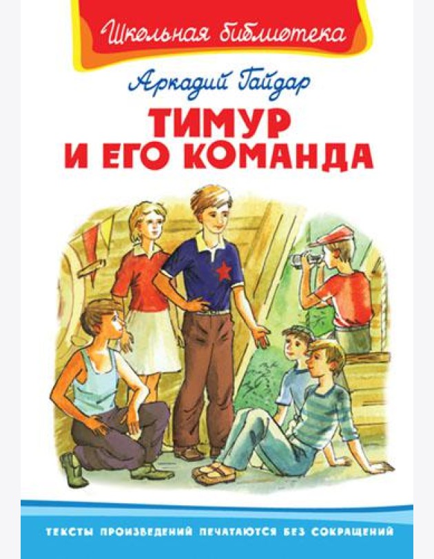 Тимур и его команда