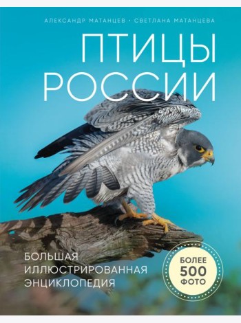 Птицы России. Большая иллюстрированная энциклопедия