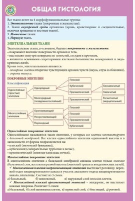 Общая гистология