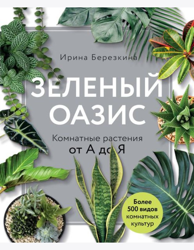 Зеленый оазис. Комнатные растения от А до Я