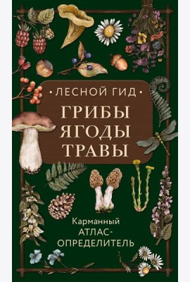 Лесной гид: грибы, ягоды, травы. Карманный атлас-определитель