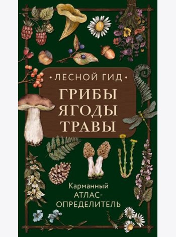 Лесной гид: грибы, ягоды, травы. Карманный атлас-определитель
