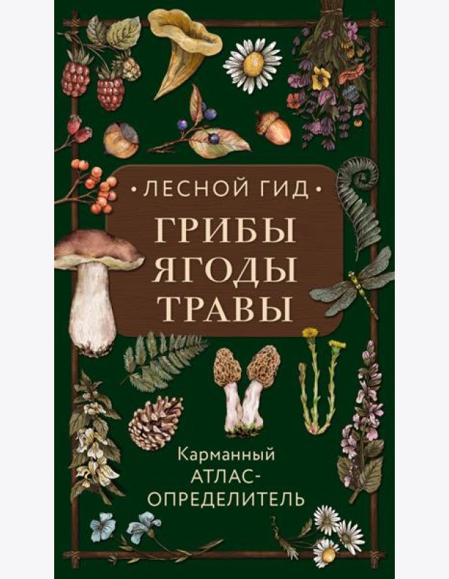 Лесной гид: грибы, ягоды, травы. Карманный атлас-определитель