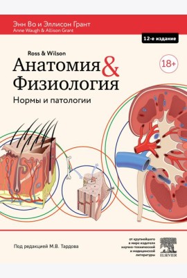 Анатомия и физиология. Нормы и патологии