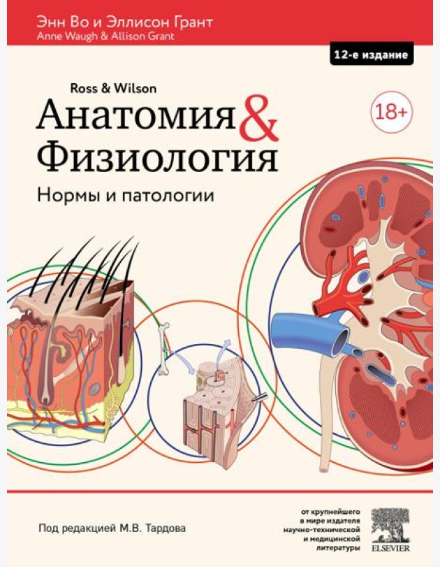 Анатомия и физиология. Нормы и патологии