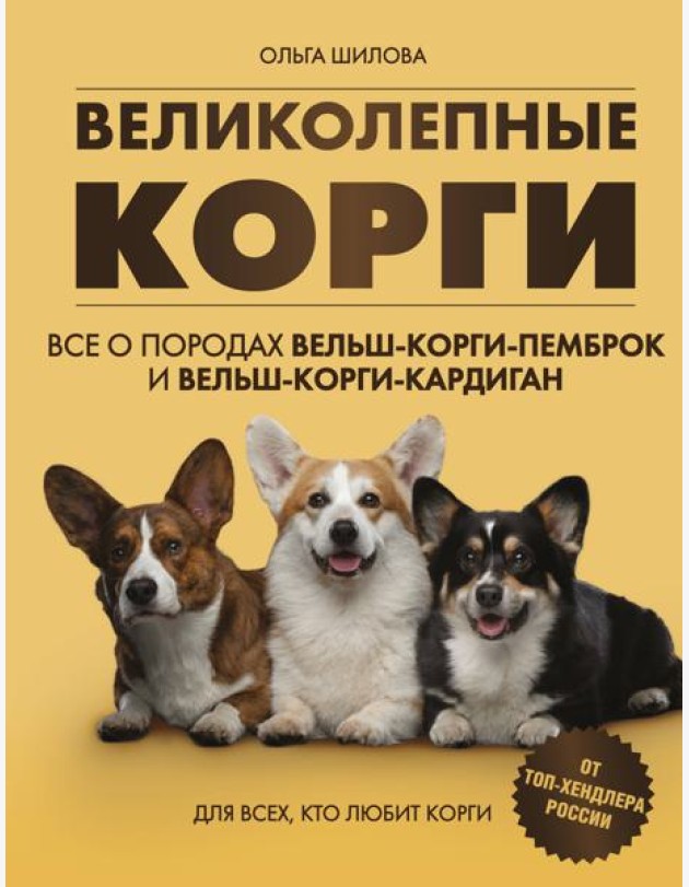 Великолепные корги. Все о породах вельш-корги-пемброк и вельш-корги-кардиган