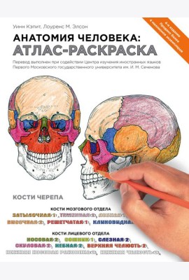 Анатомия человека: атлас-раскраска