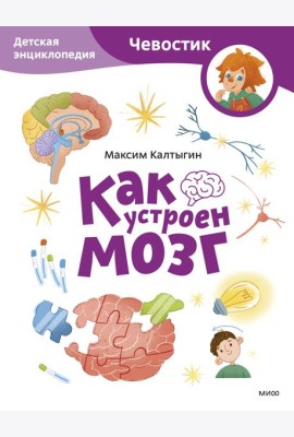 Как устроен мозг. Детская энциклопедия (Чевостик) (Paperback)