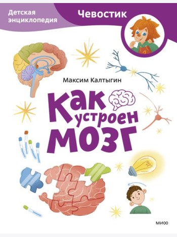 Как устроен мозг. Детская энциклопедия (Чевостик) (Paperback)