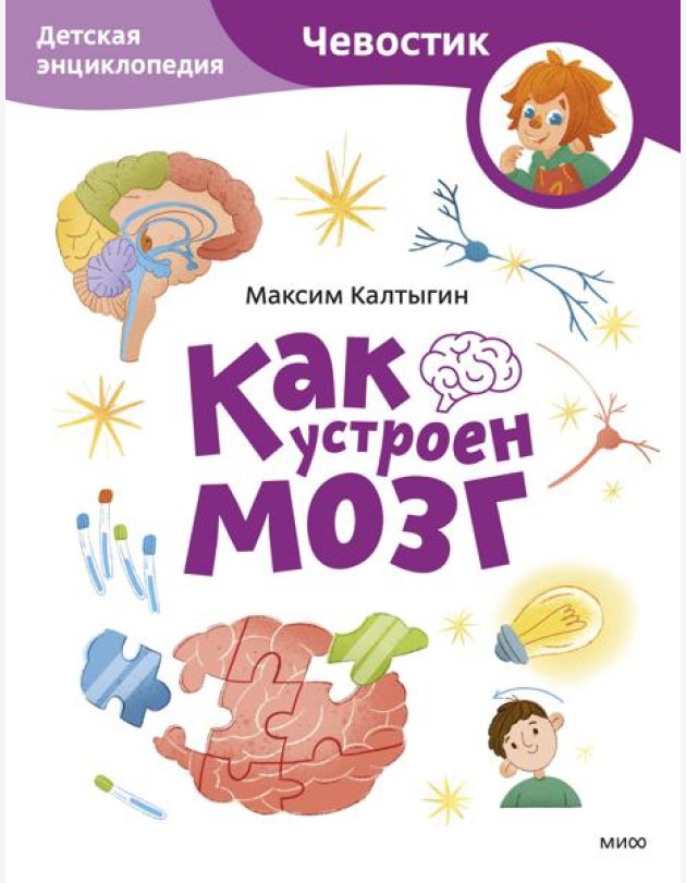 Как устроен мозг. Детская энциклопедия (Чевостик) (Paperback)
