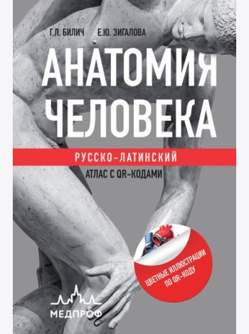 Анатомия человека: Русско-латинский атлас с QR-кодами на цветные изображения