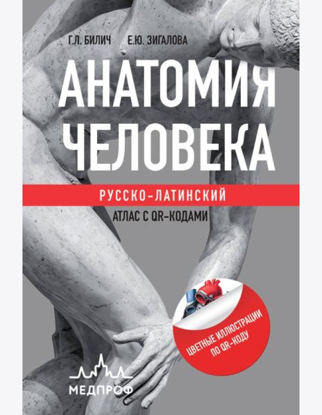 Анатомия человека: Русско-латинский атлас с QR-кодами на цветные изображения