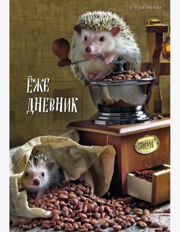 Ёжедневник. Блокнот для людей и ежей (кофе) (А5, 72 л.)