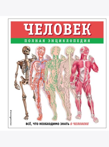 Человек. Полная энциклопедия