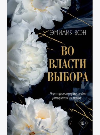 Во власти выбора