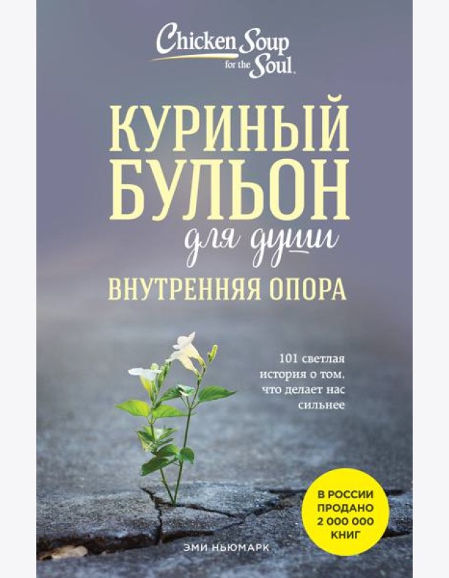 Куриный бульон для души. Внутренняя опора. 101 светлая история о том, что делает нас сильнее