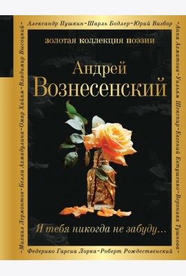 Я тебя никогда не забуду…: сборник стихов