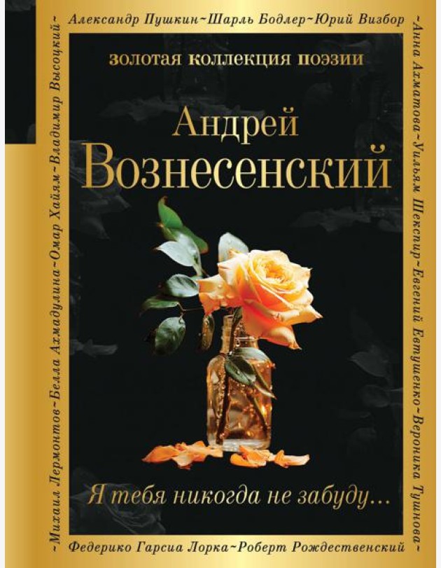 Я тебя никогда не забуду…: сборник стихов