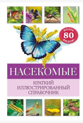 Насекомые. Краткий иллюстрированный справочник