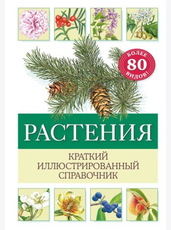 Растения. Краткий иллюстрированный справочник