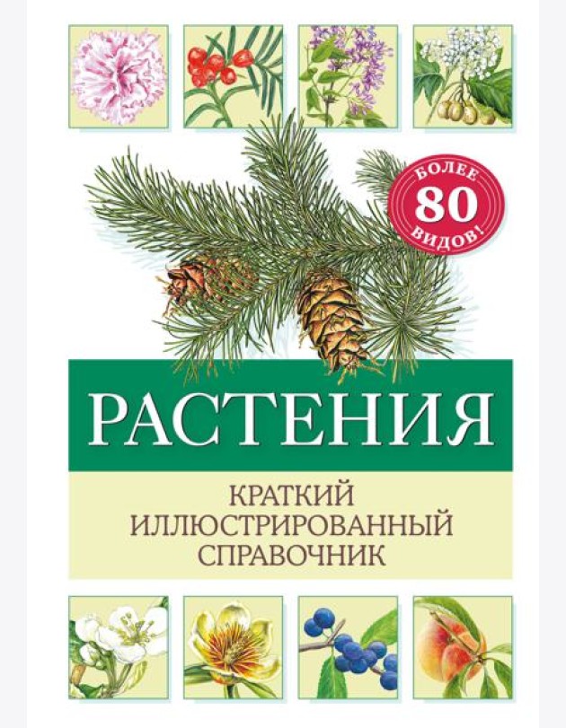 Растения. Краткий иллюстрированный справочник