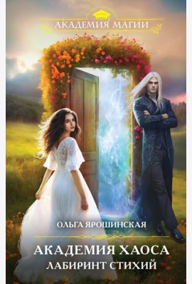 Академия хаоса. Лабиринт стихий