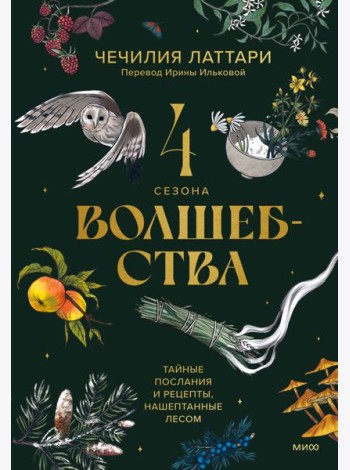 4 сезона волшебства. Тайные послания и рецепты, нашептанные лесом