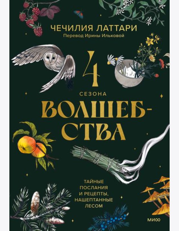 4 сезона волшебства. Тайные послания и рецепты, нашептанные лесом