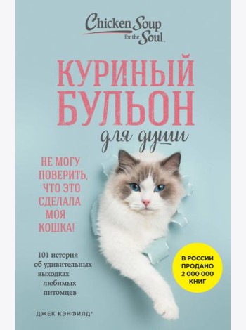 Куриный бульон для души. Не могу поверить, что это сделала моя кошка! 101 история об удивительных выходках любимых питомцев