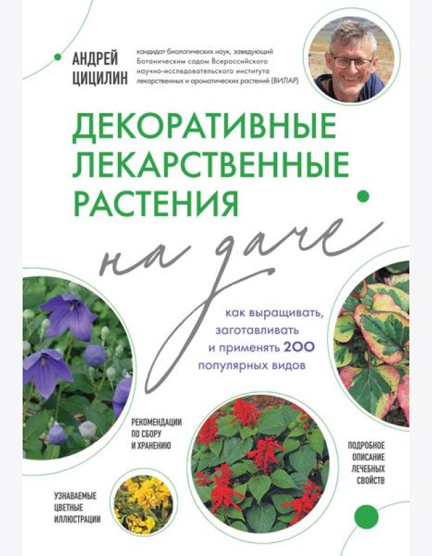Декоративные лекарственные растения на даче: как выращивать, заготавливать и применять 200 популярных видов