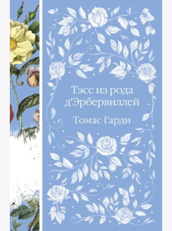 Тэсс из рода д'Эрбервиллей