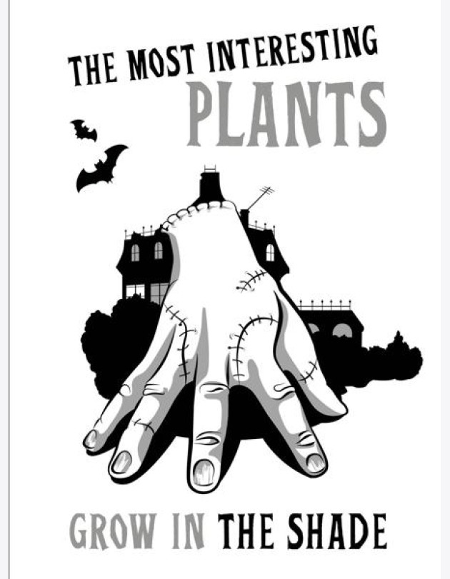 Вещь:The most interesting plants grow in the shade. Вещь. Блокнот в точку