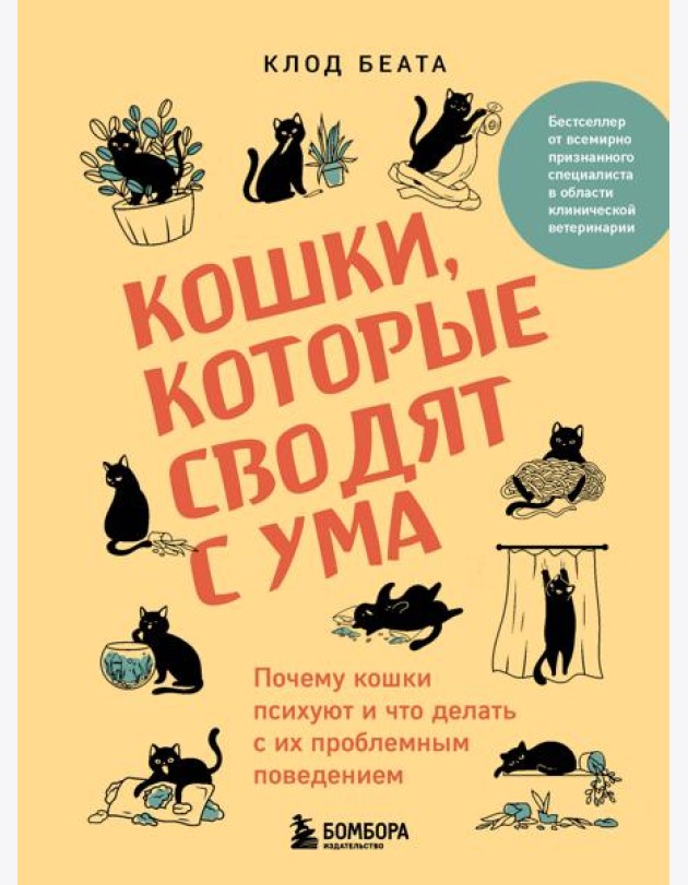 Кошки, которые сводят с ума. Почему кошки психуют и что делать с их проблемным поведением