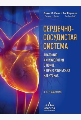 Сердечно-сосудистая система. Анатомия и физиология в покое и при физических нагрузках