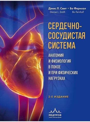 Сердечно-сосудистая система. Анатомия и физиология в покое и при физических нагрузках