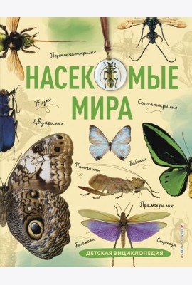 Насекомые мира. Детская энциклопедия