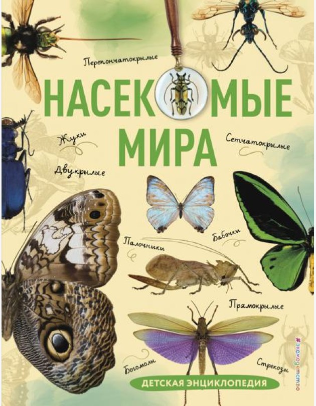 Насекомые мира. Детская энциклопедия