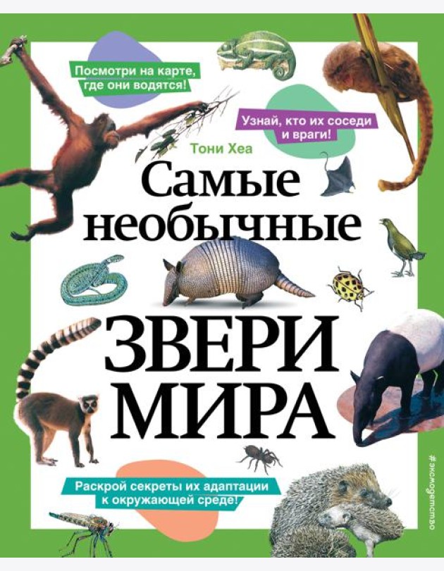 Самые необычные звери мира
