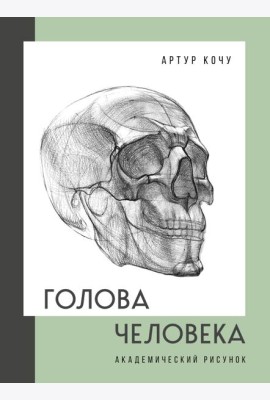 Голова человека. Академический рисунок