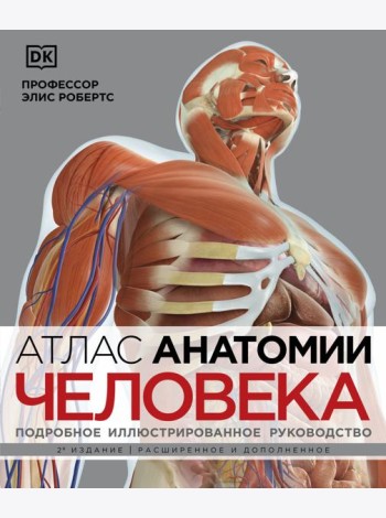 Атлас анатомии человека (DK). Подробное иллюстрированное руководство