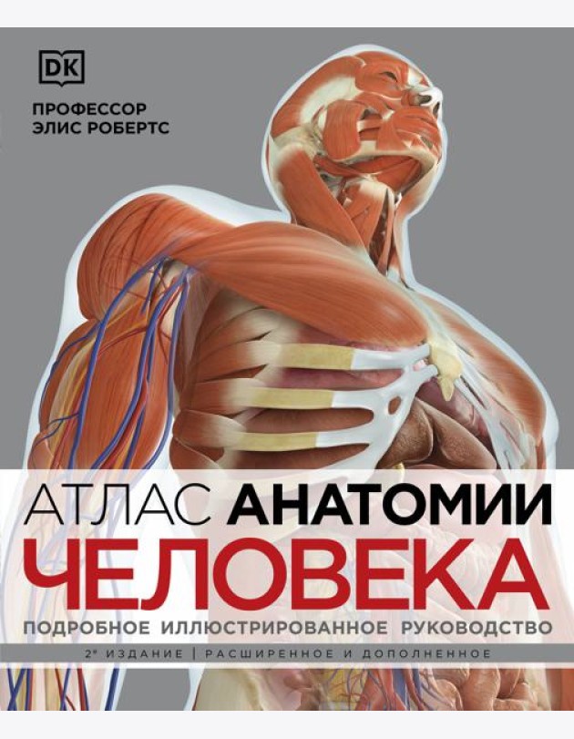 Атлас анатомии человека (DK). Подробное иллюстрированное руководство