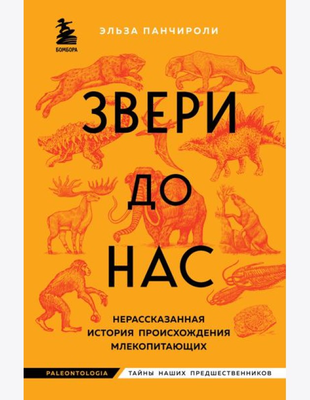Звери до нас. Нерассказанная история происхождения млекопитающих