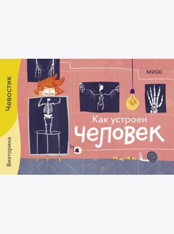 Как устроен человек. Викторина