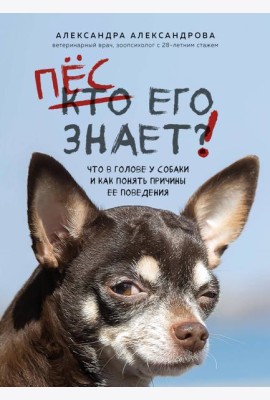 Пес его знает! Что в голове у собаки, и как понять причины ее поведения